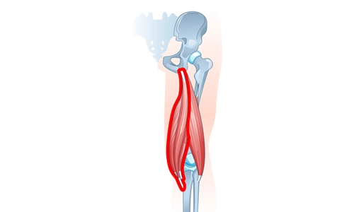 Hamstring Tendiniti Nedir? Belirtileri, Tanısı ve Tedavisi