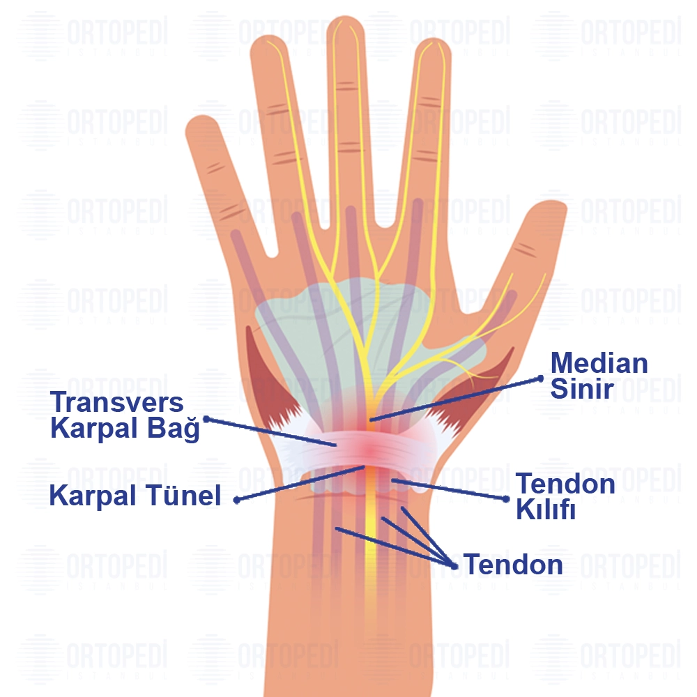 El Cerrahisi ve Mikrocerrahi Nedir?